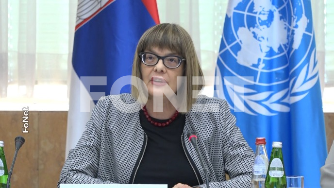 Manja rekonstrukcija Vlade